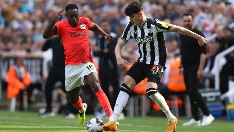 Soi kèo trận đấu Newcastle United vs Brighton